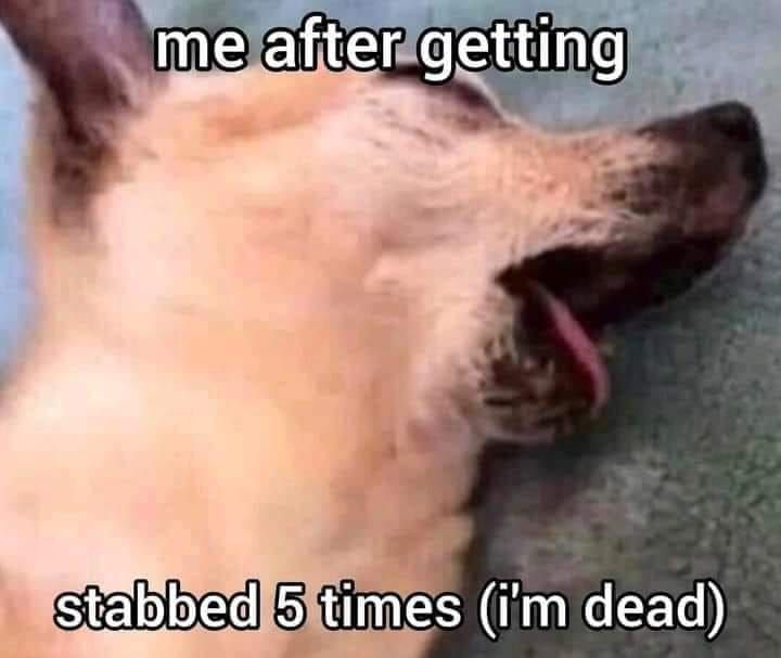 relatable