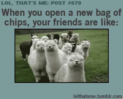 Every god damn time