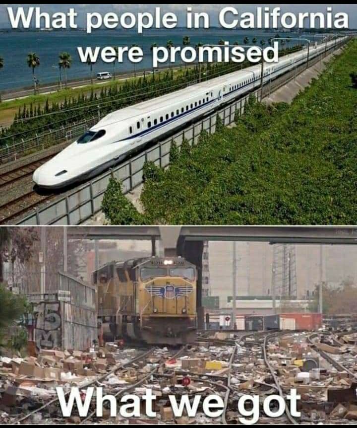 Diversity & Tolerance