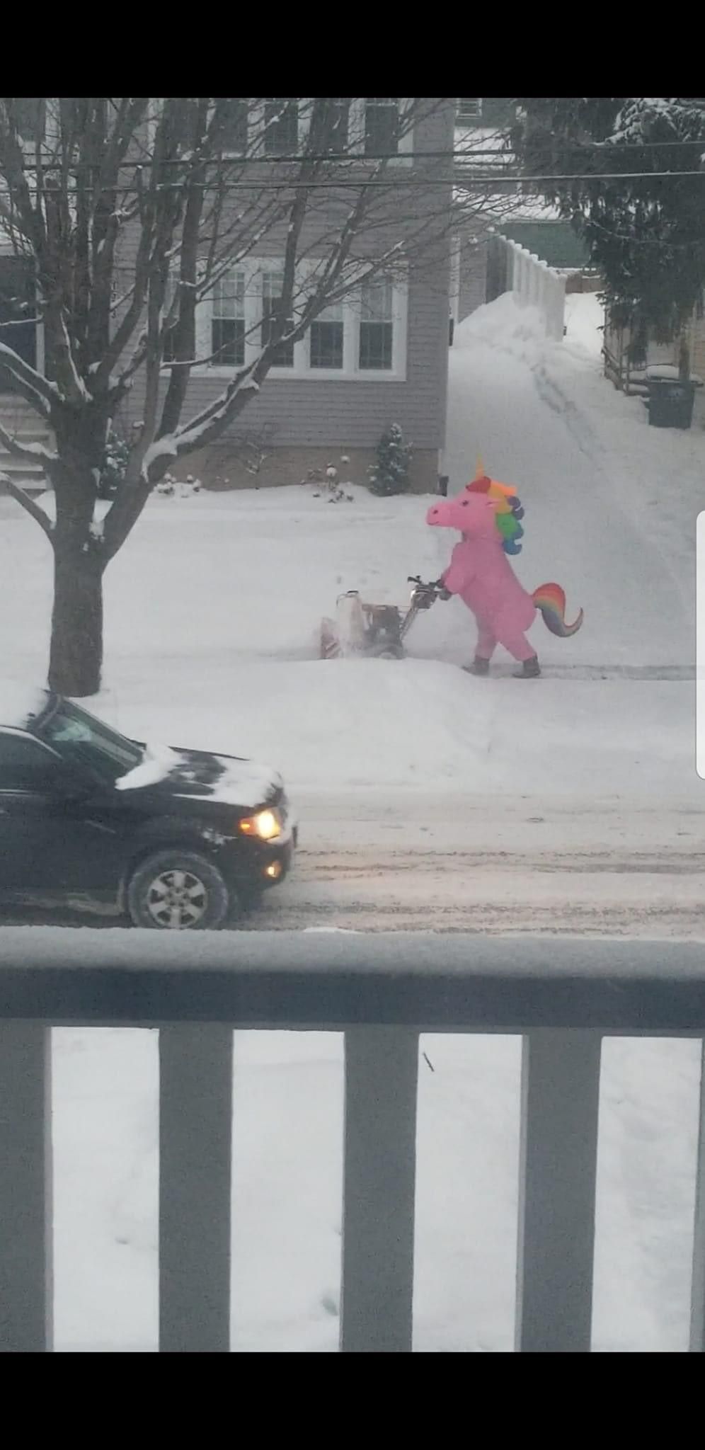 Someone in the neighborhood dons a unicorn costume while snow blowing and this is the kind of community I want.