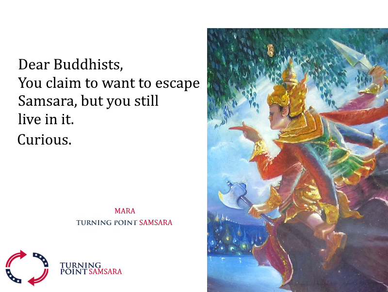 Taoism > Buddhism