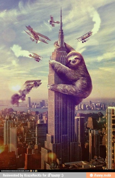 Slow sloth attack