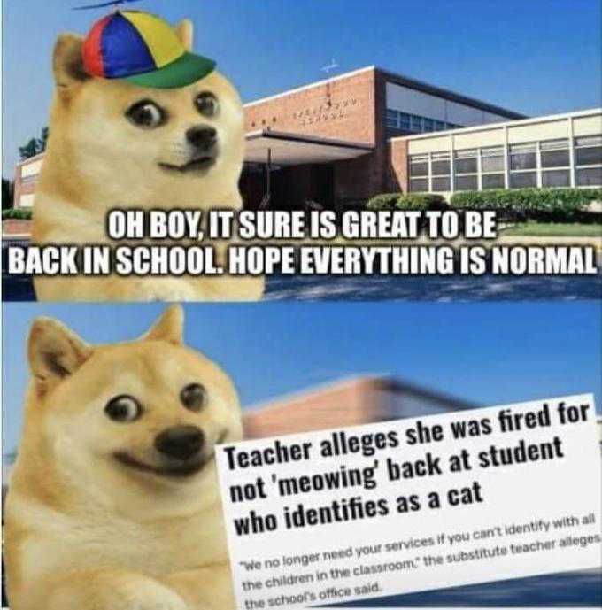 I identify as student who always gets perfect grades and never has to do anything
