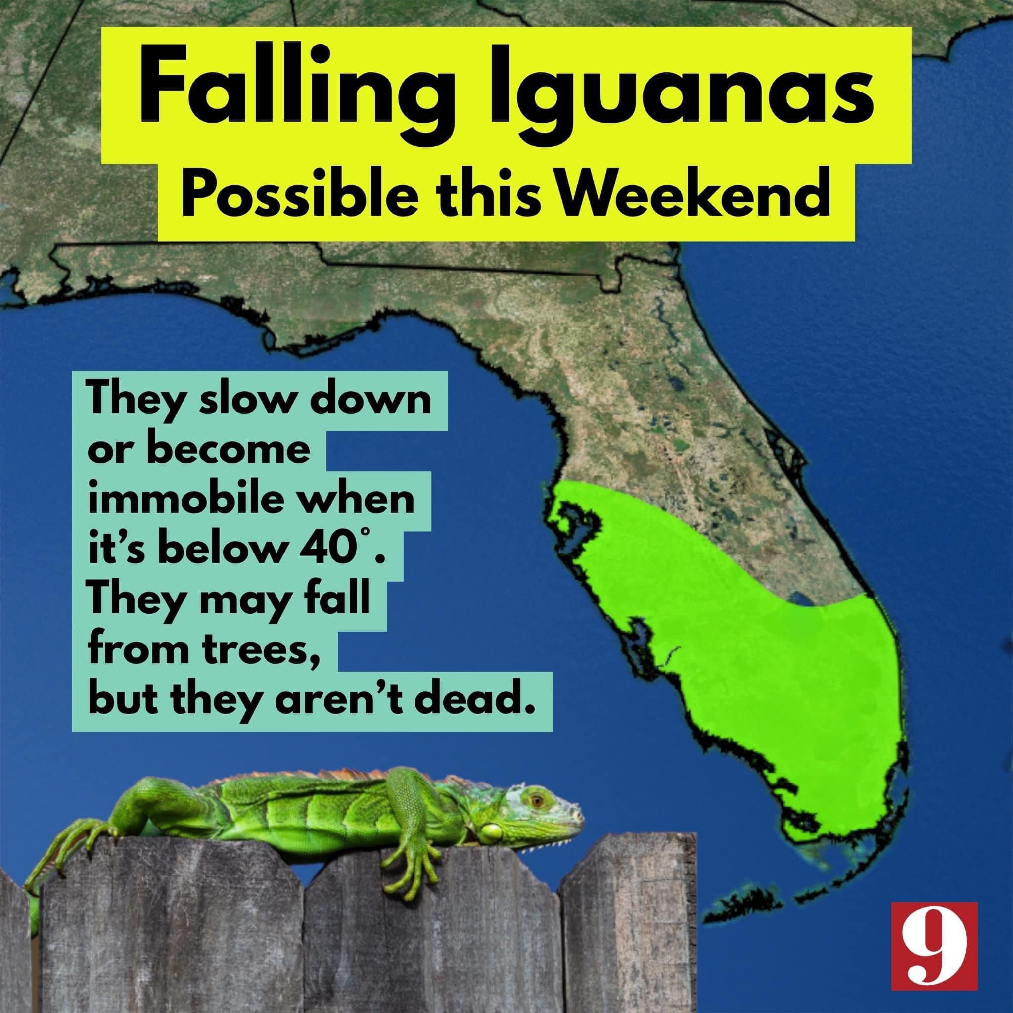 Actual PSA from Florida news station.
