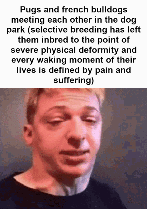 suffering