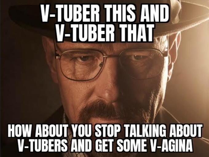 virtual agina