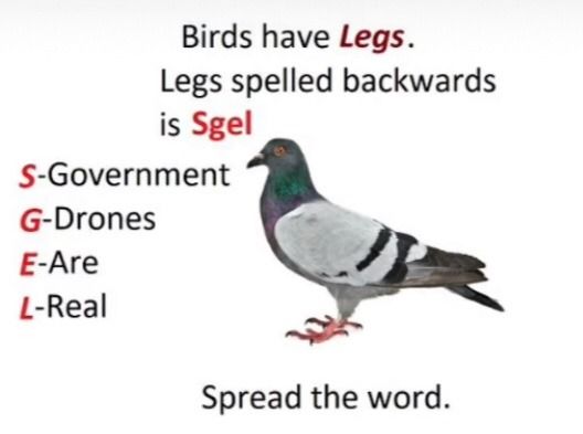 sgel