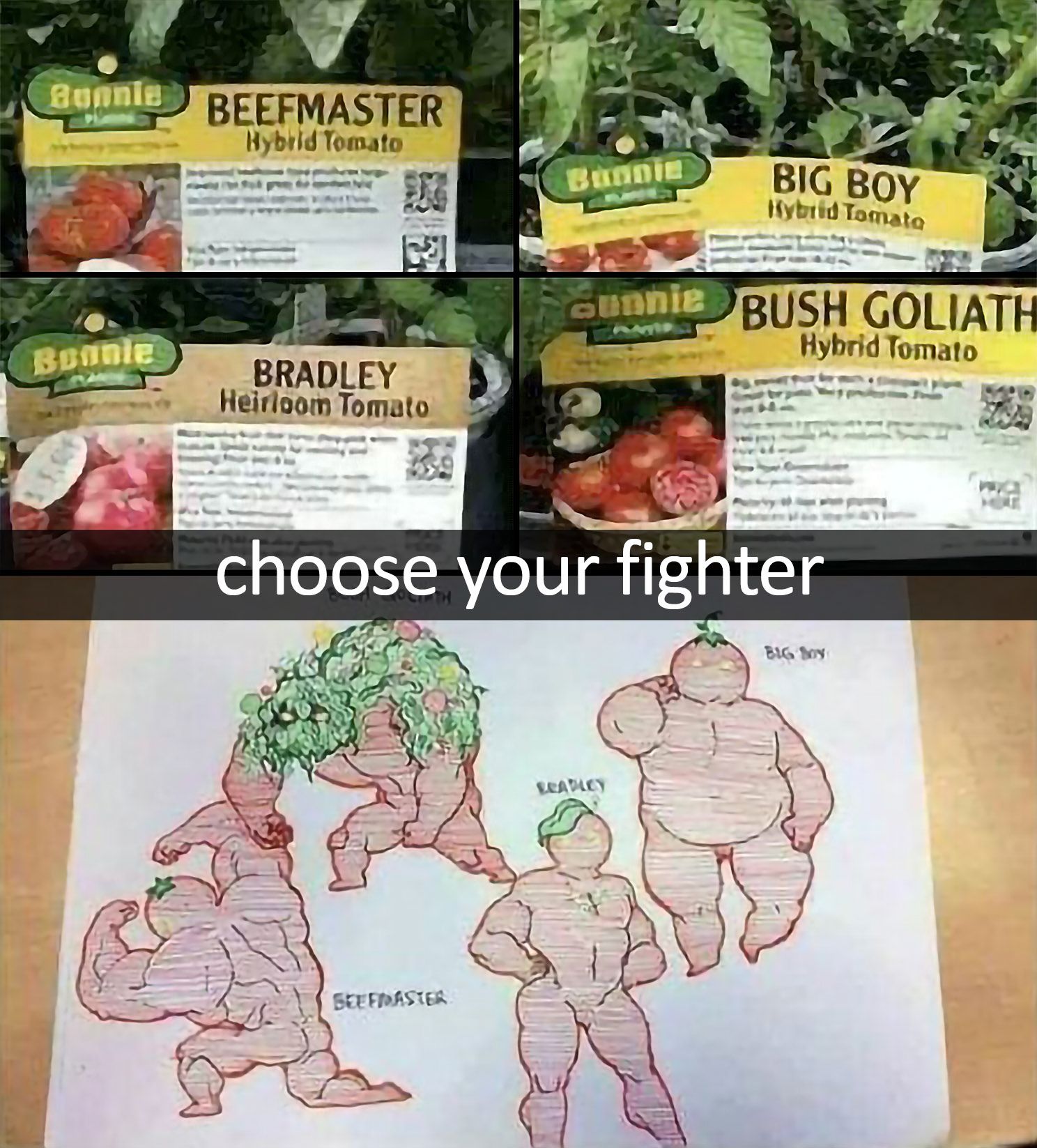 tomato