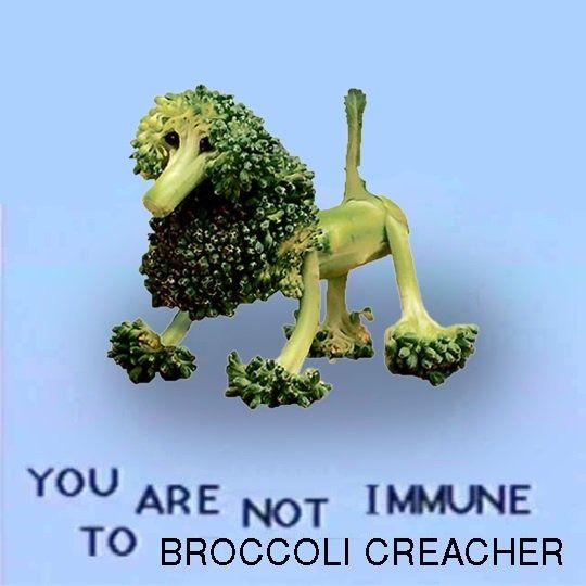 bro