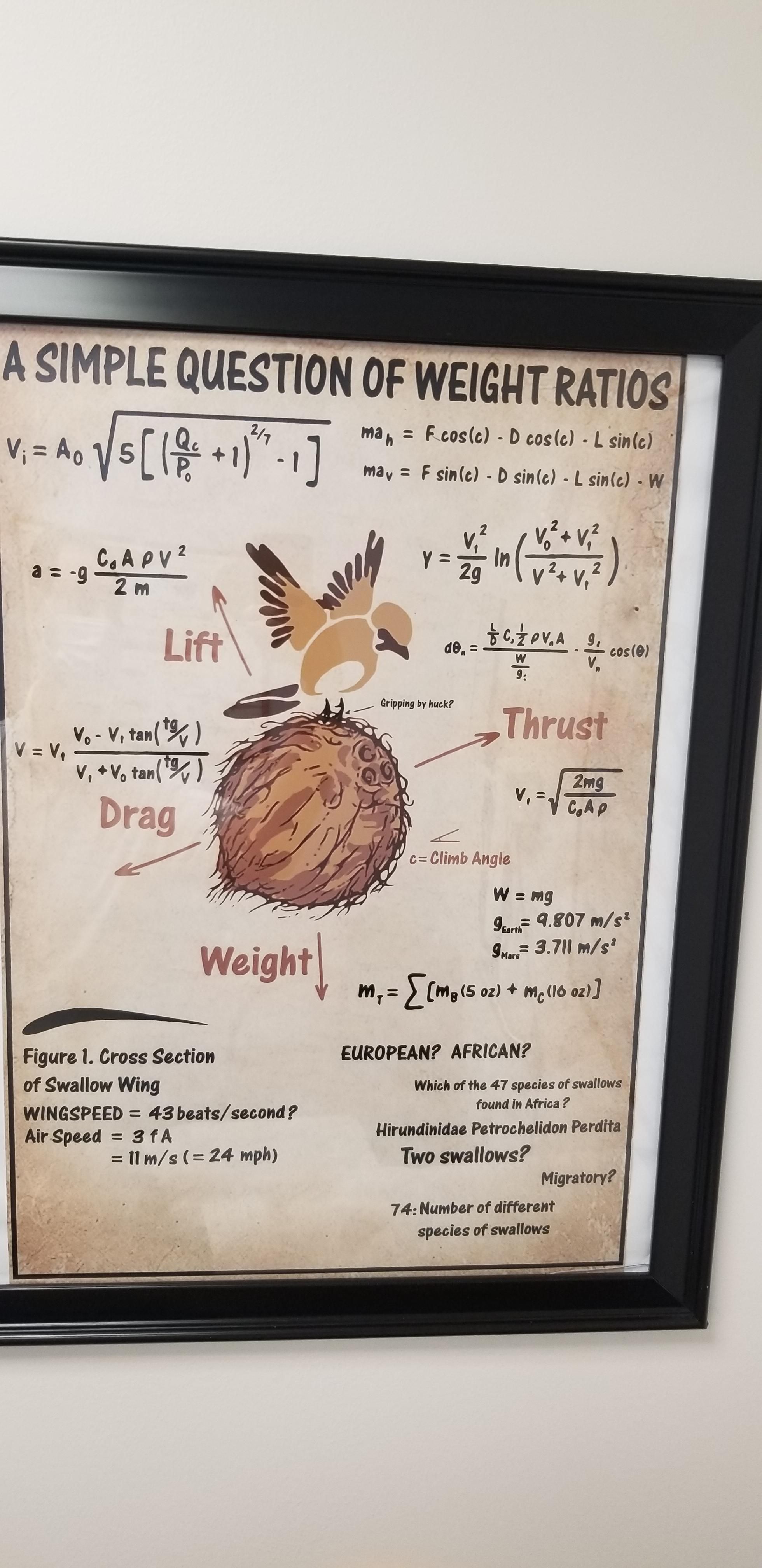 Waiting for the doctor and spotted this on the wall.