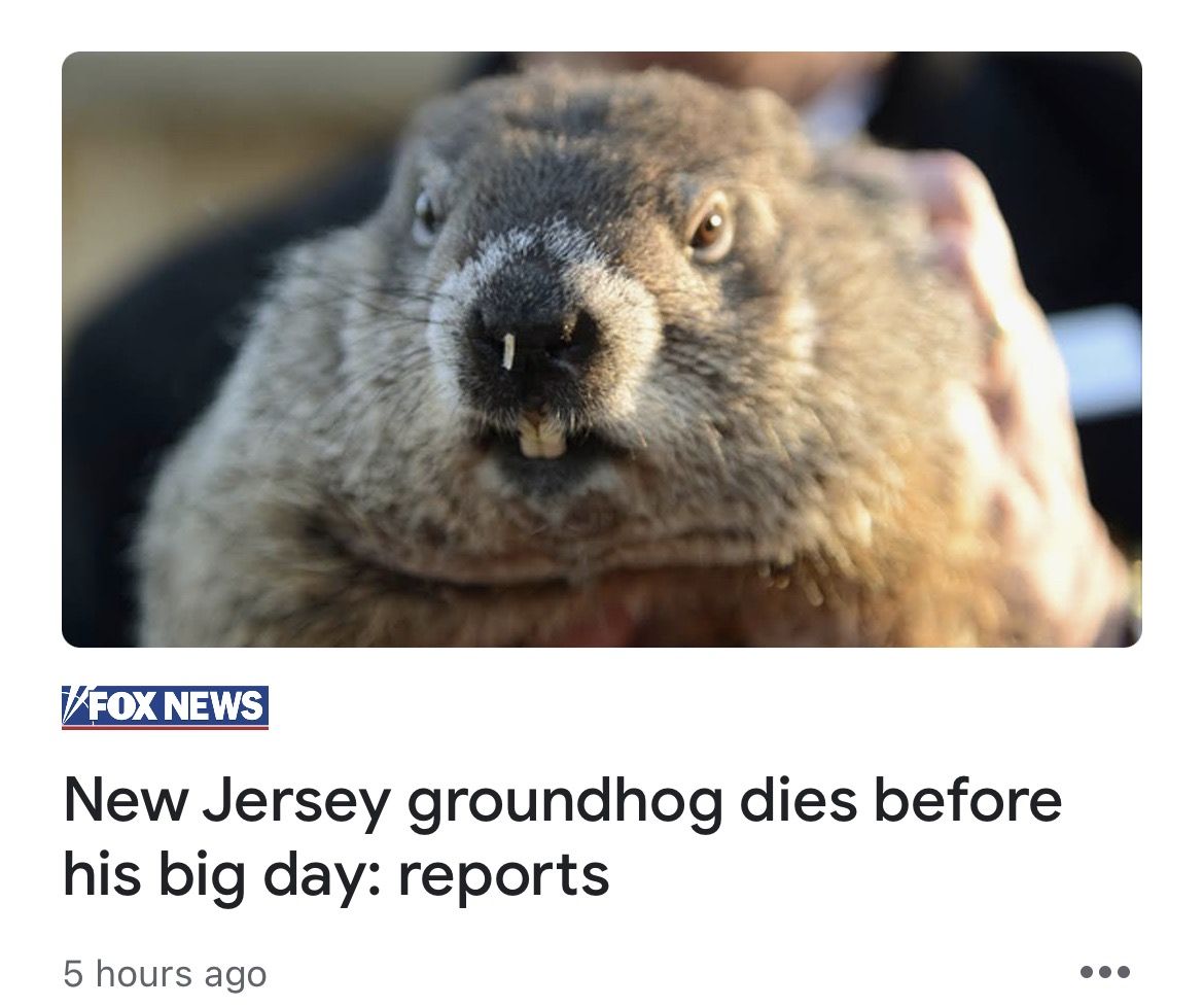 what-does-it-mean-when-the-groundhog-dies