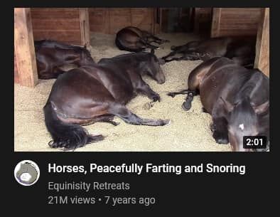 Youtube recommendations be like