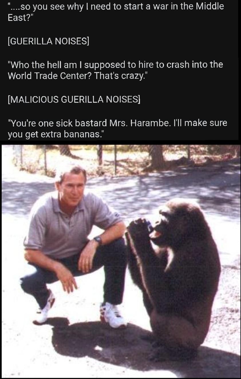 Harambe knew too much