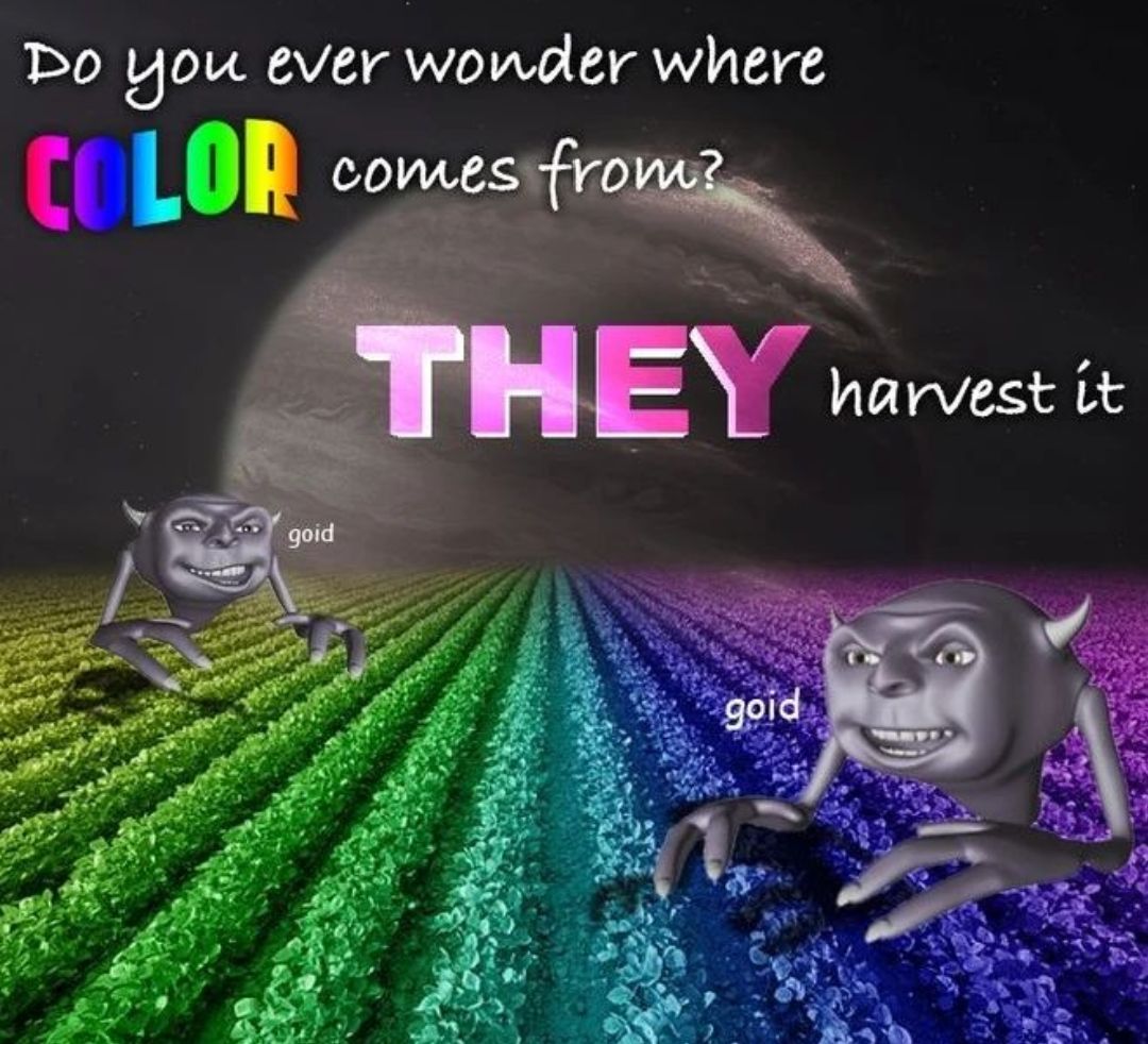 h a r v e s t