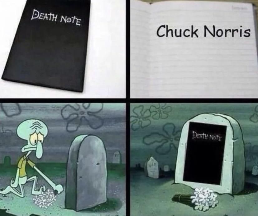 I miss Chuck Norris Memes
