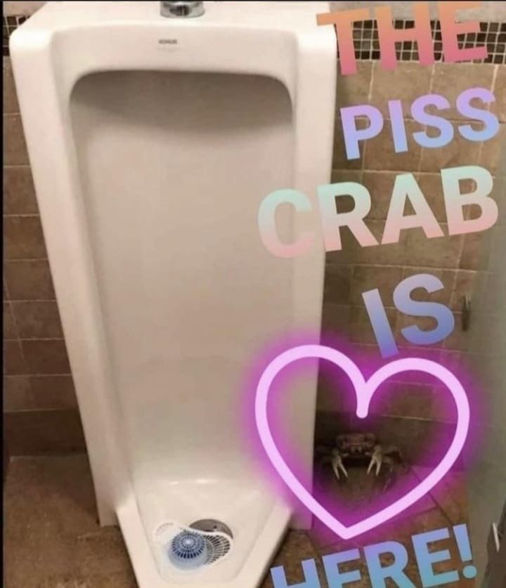 crab