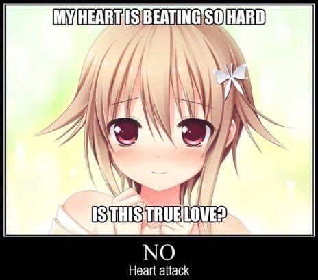 kokoro