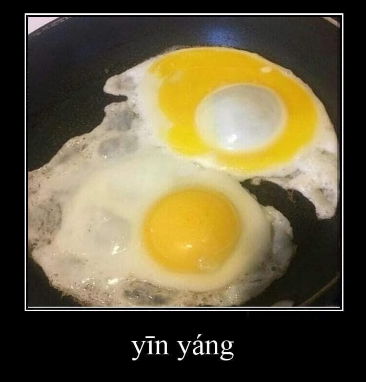 egg