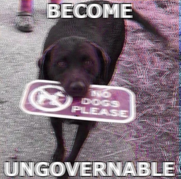 Fugg the system