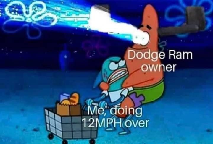 Ram