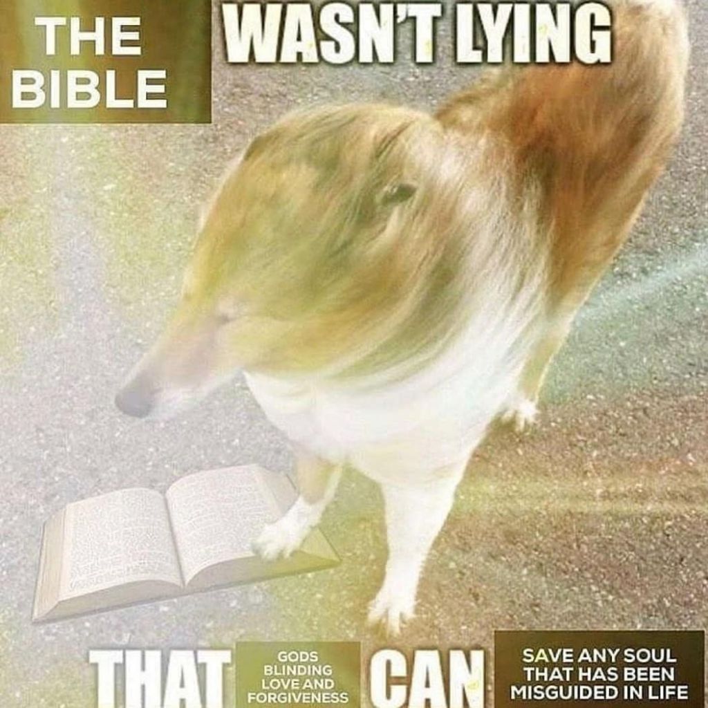 Bible