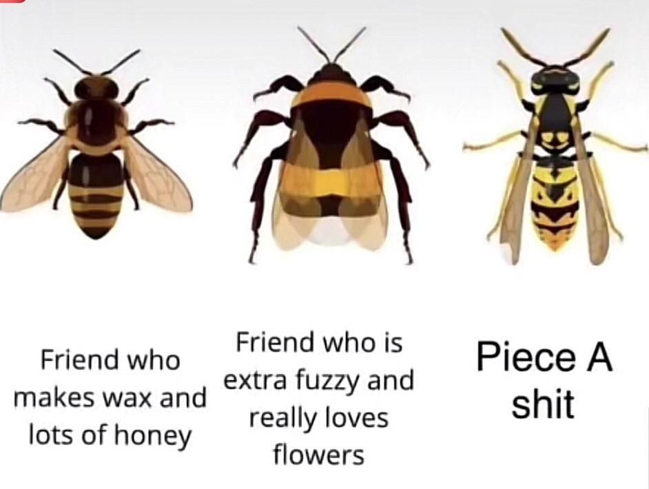 Be kind to bees