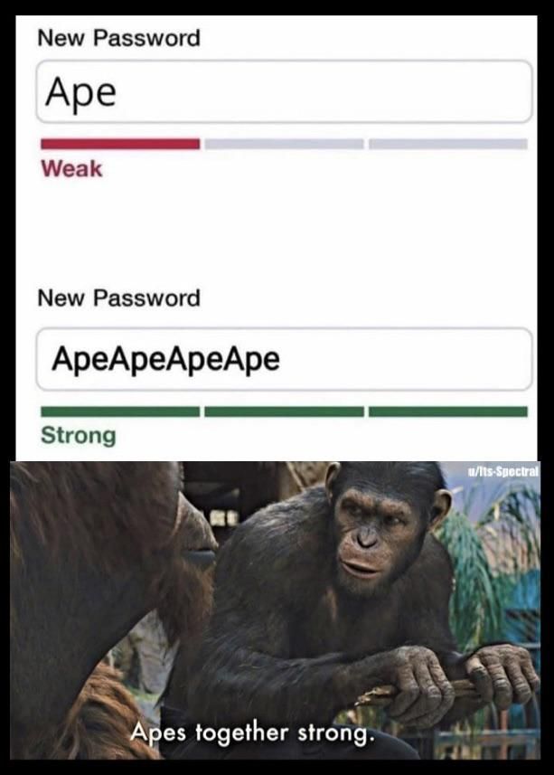 New password idea