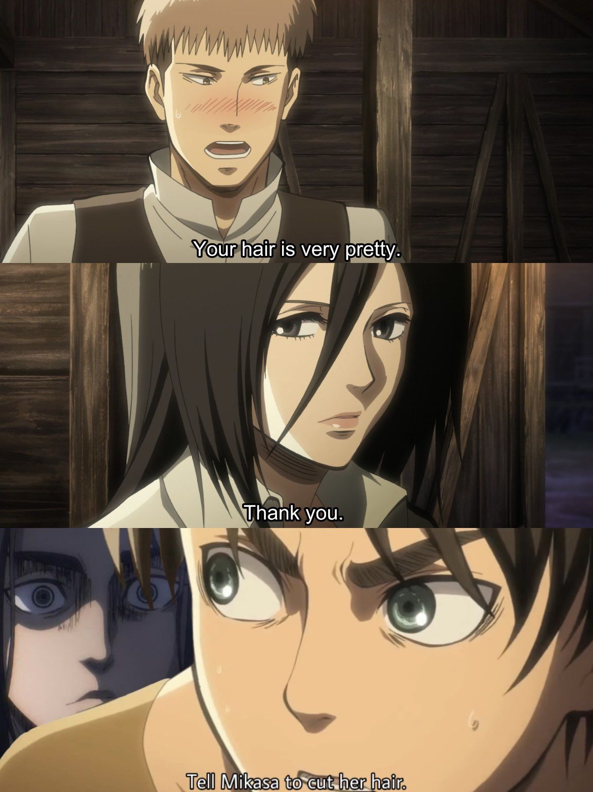 So THAT's why Mikasa cut her hair