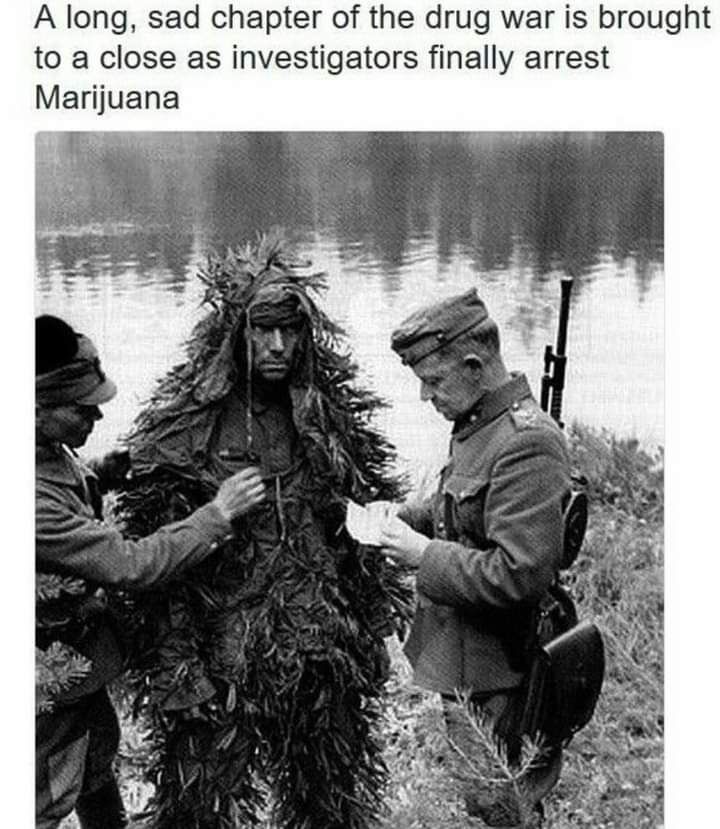 The first war on drugs concluded with Marijuana being apprehended in 1952, subsequently paving way for the ‘squares’ to set the agenda for world politics