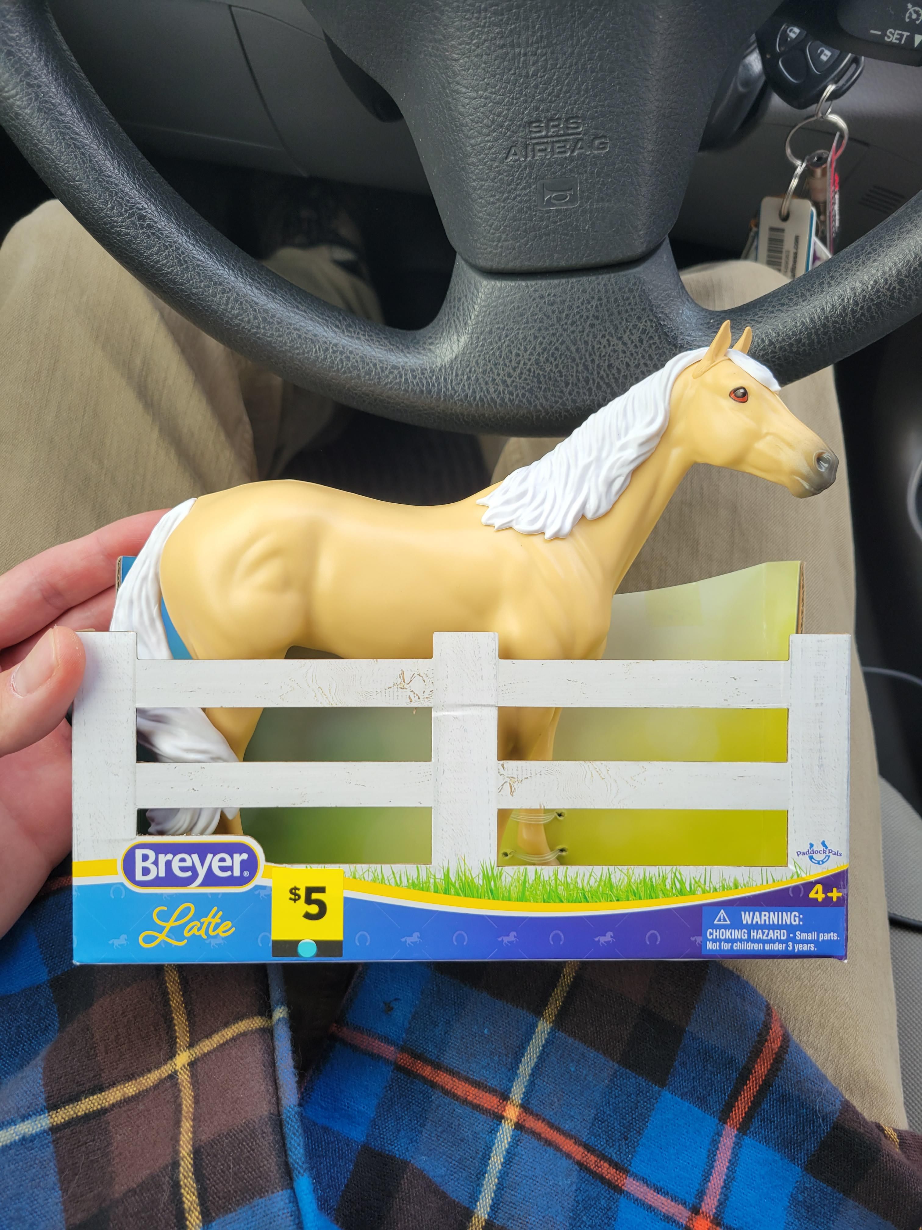 Went out to run errands, asked my wife if she wanted me to grab her anything. As a joke, she said a horse. Everyone, meet Latte.