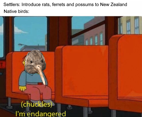 Haven't seen enough New Zealand history here yet