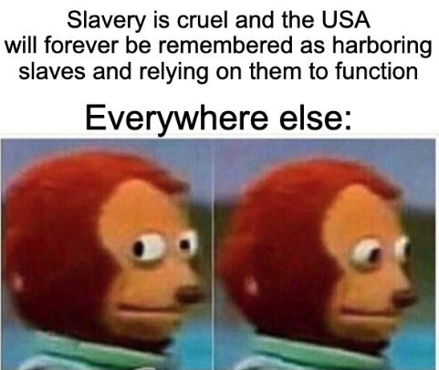 Slaves = bad, but slaves werent just in the USA
