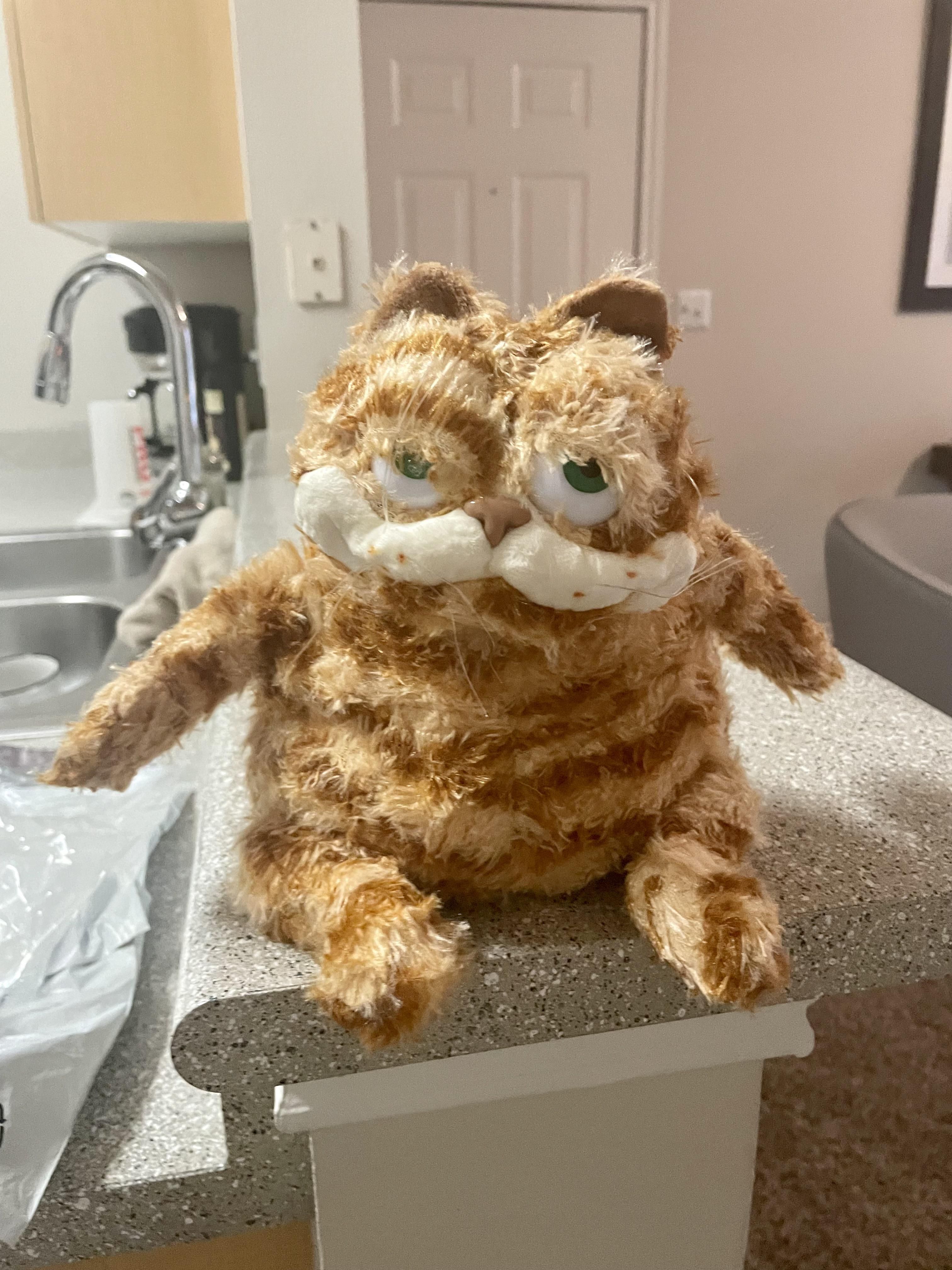 This new Garfield plush that I just purchased for my dog