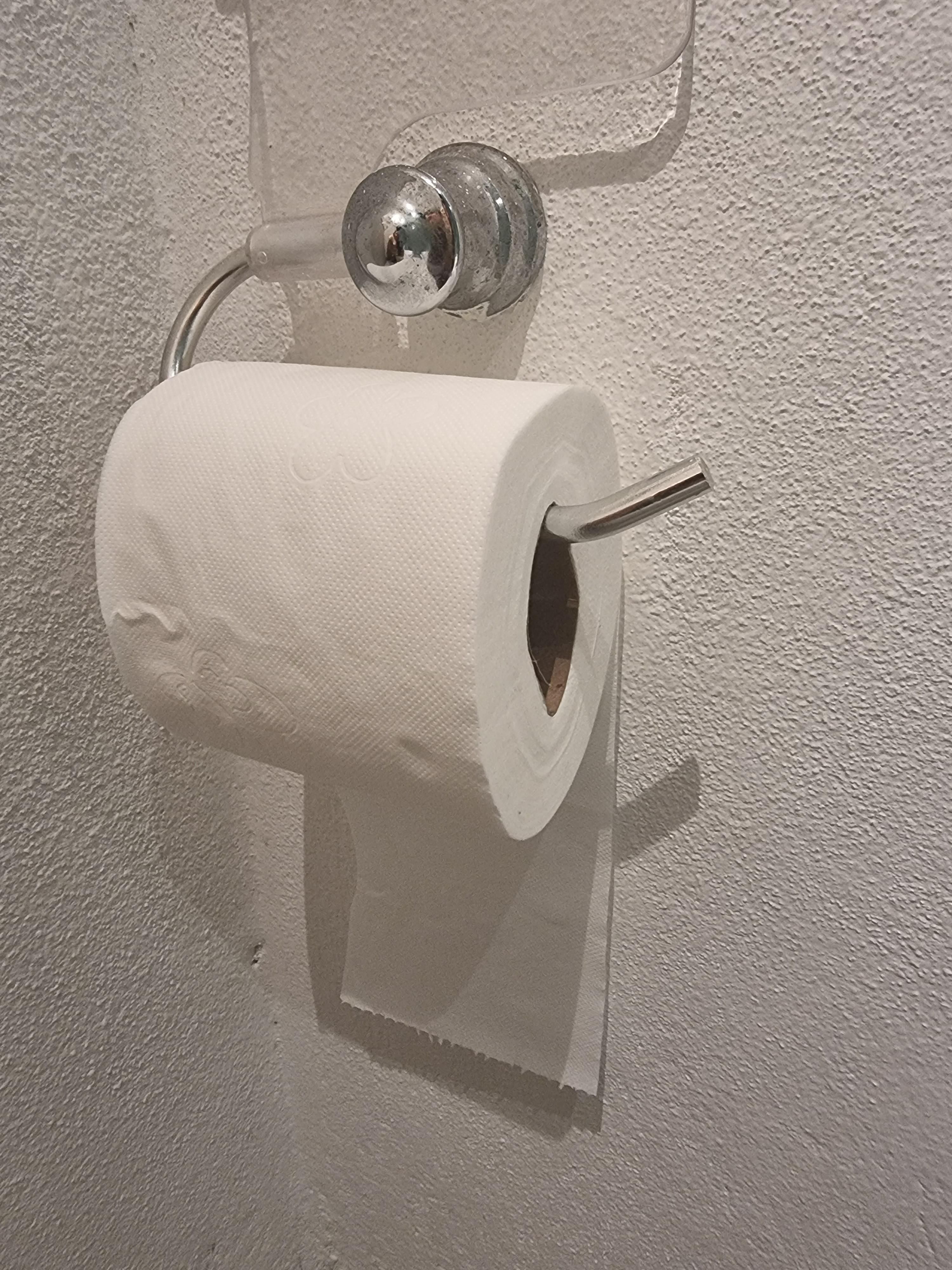 what have i done? Just moved in with my GF and she puts TP like this