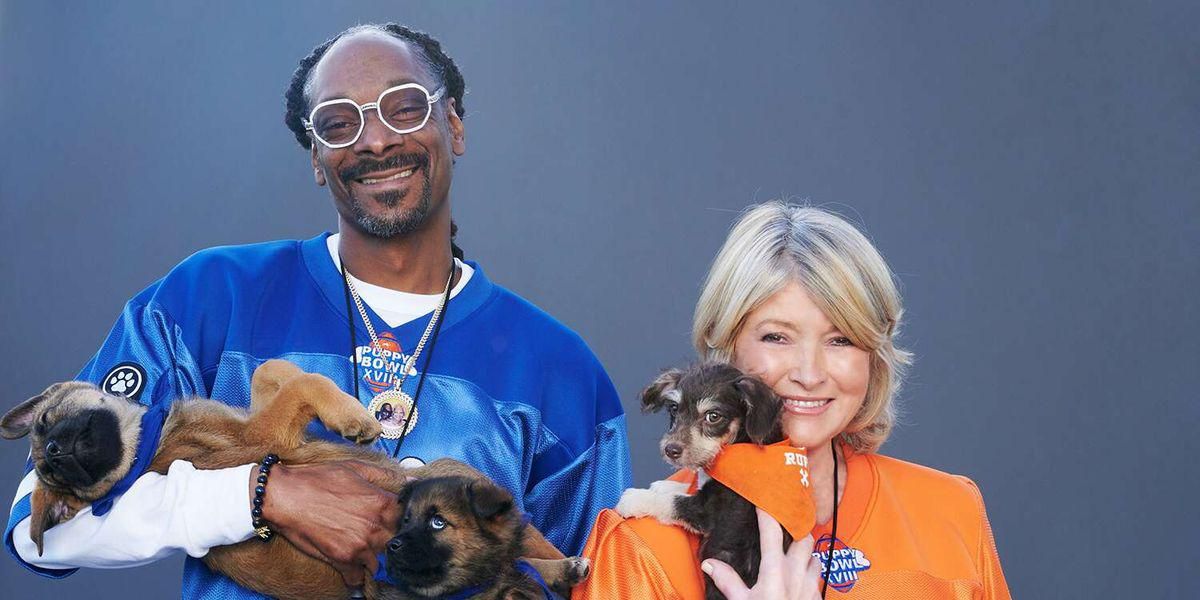 I love how Martha Stewart is a more hardened criminal than Snoop Dogg