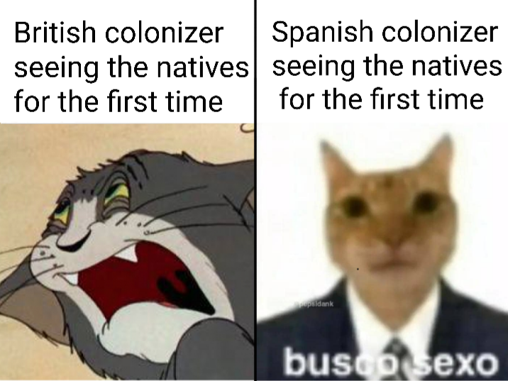 The spanish cat says "I'm looking for sex"