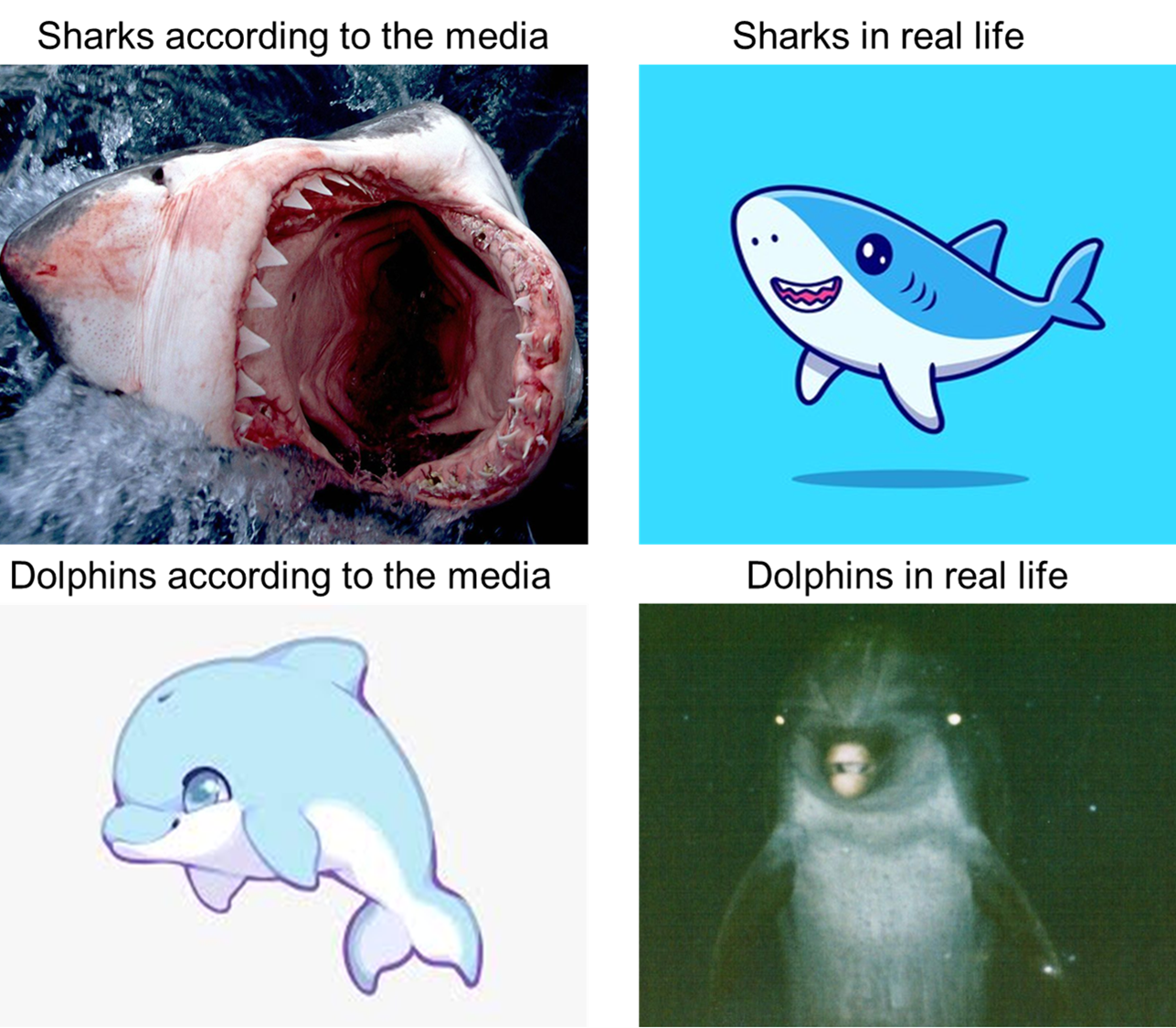 Sharks got it bad