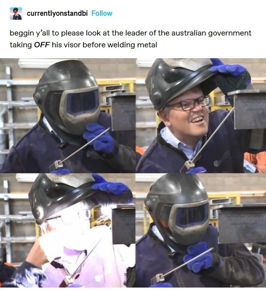 >Trans flag pfp, Opinion ignored.