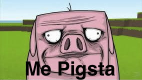 Me Pigsta