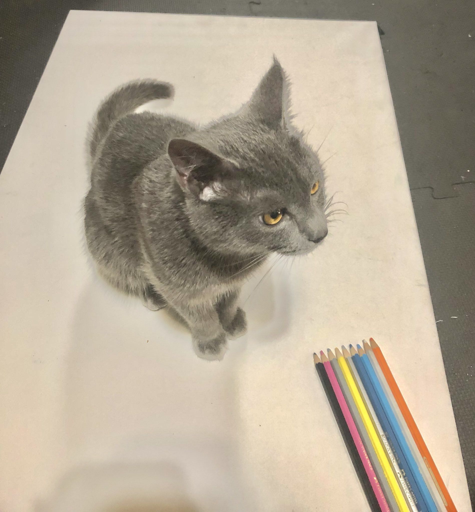 My cat on a piece of paper that looks like it was drawn with colored pencils.