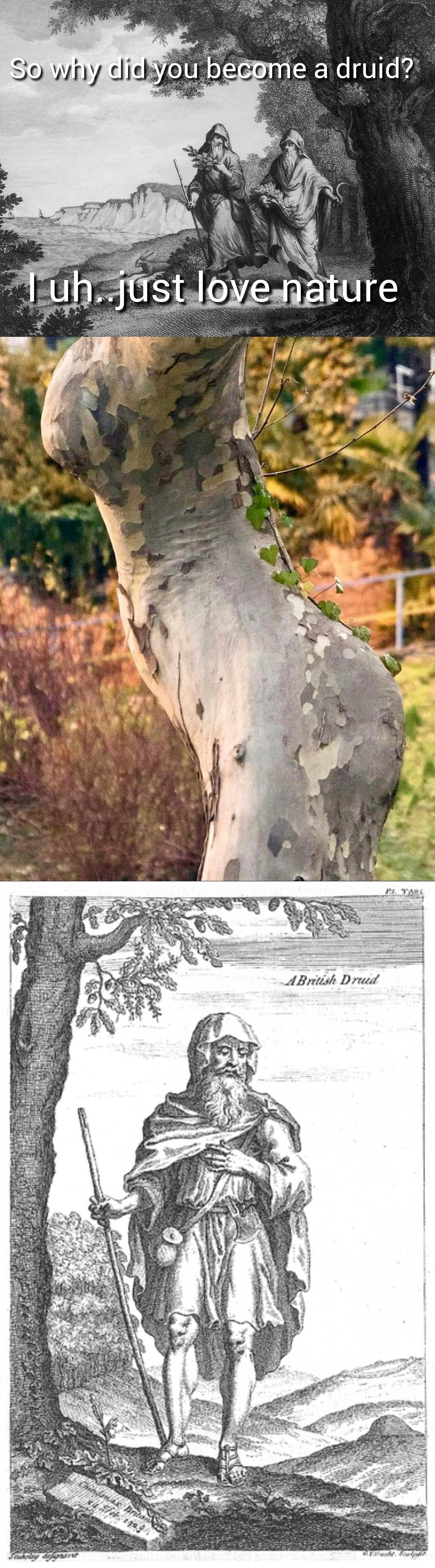 Nature uh..finds a way
