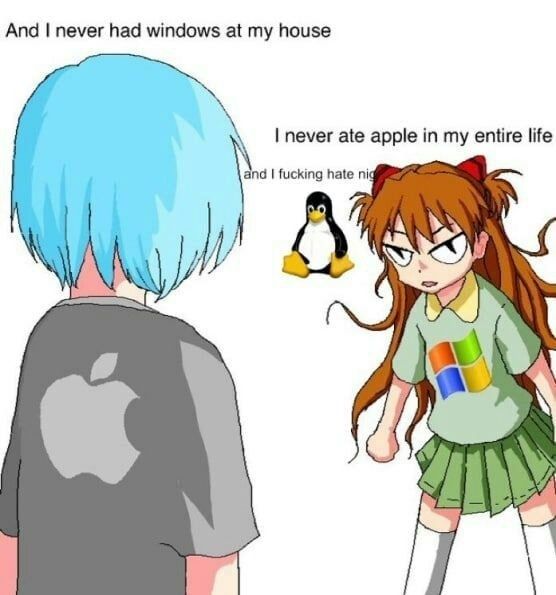 reipple or windowsuka?