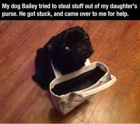 Stealing gone wrong