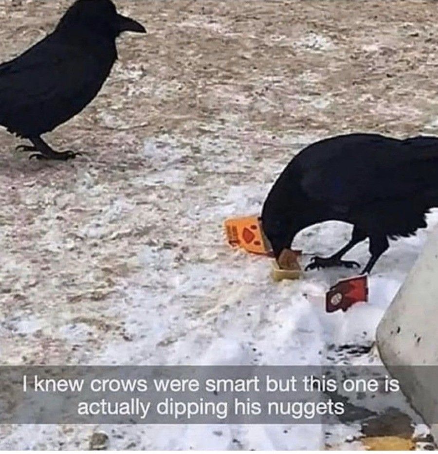 smartest