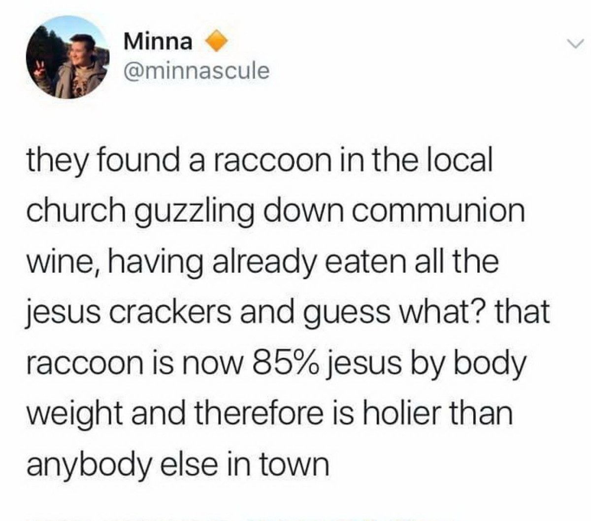 holy raccoon