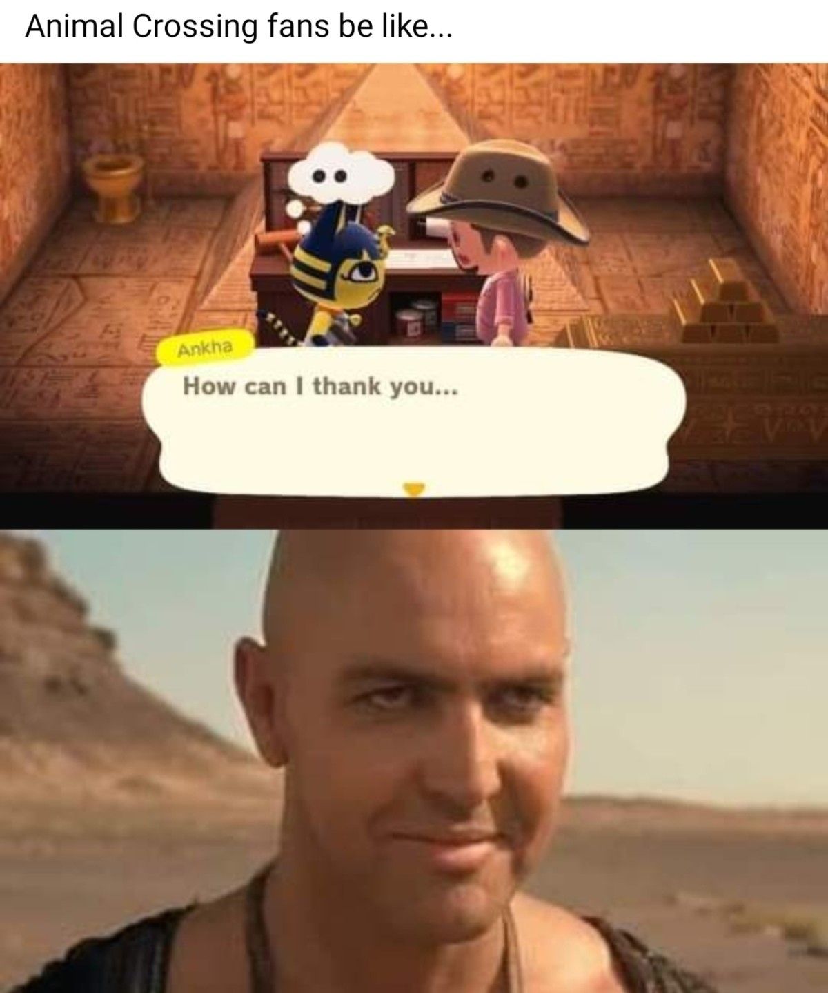 : D