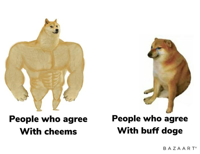 always bet on cheems