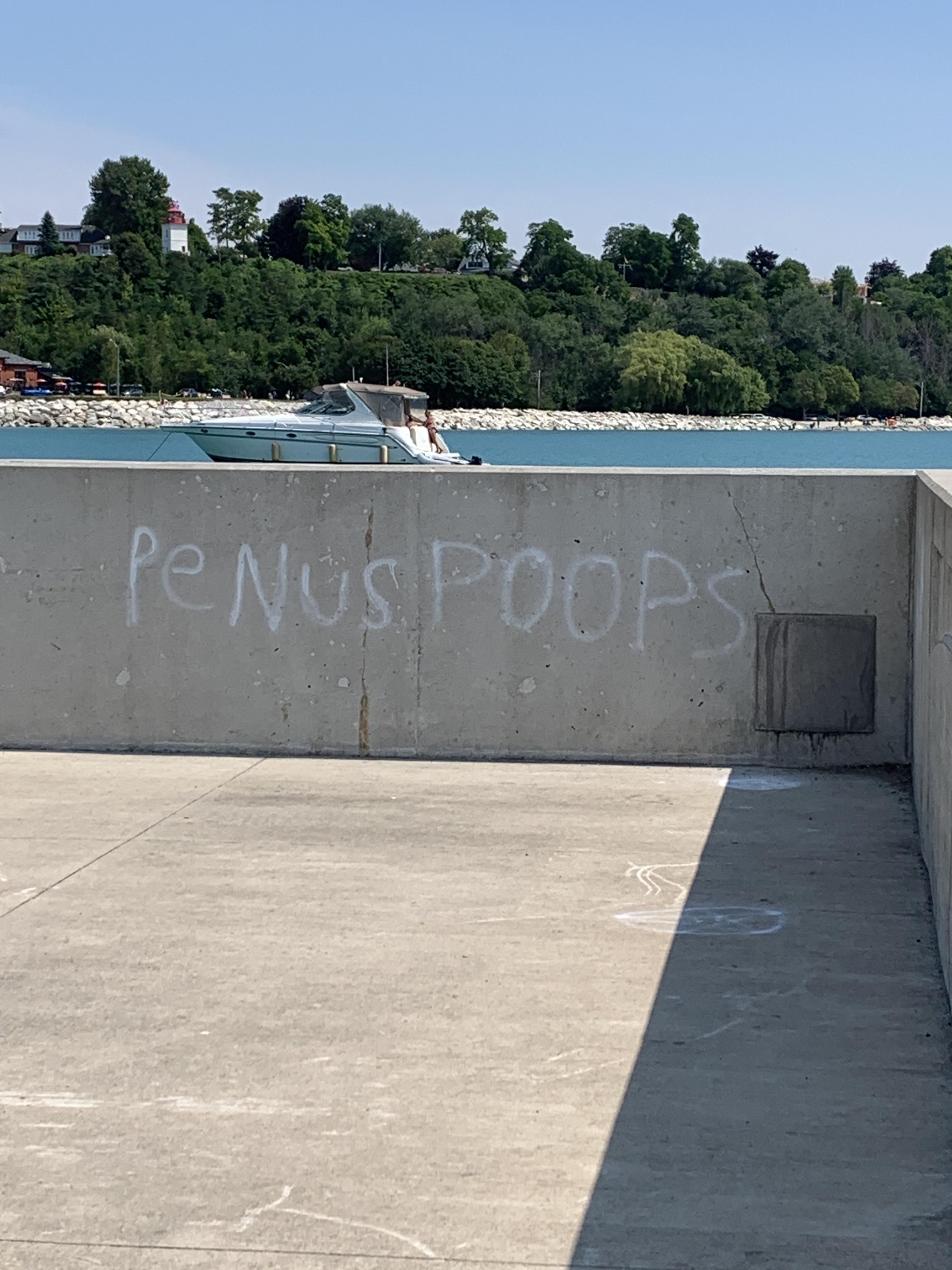 I saw this graffiti on a pier a couple years ago and I still think about it often
