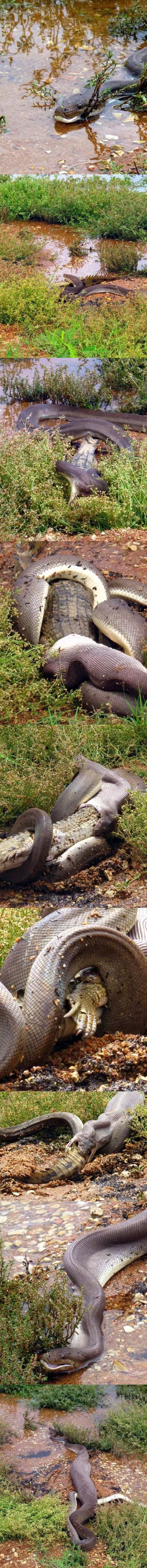 damn nature, you scary