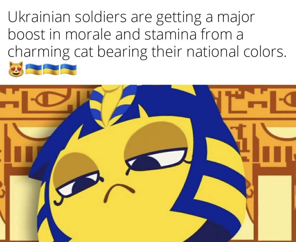 ***